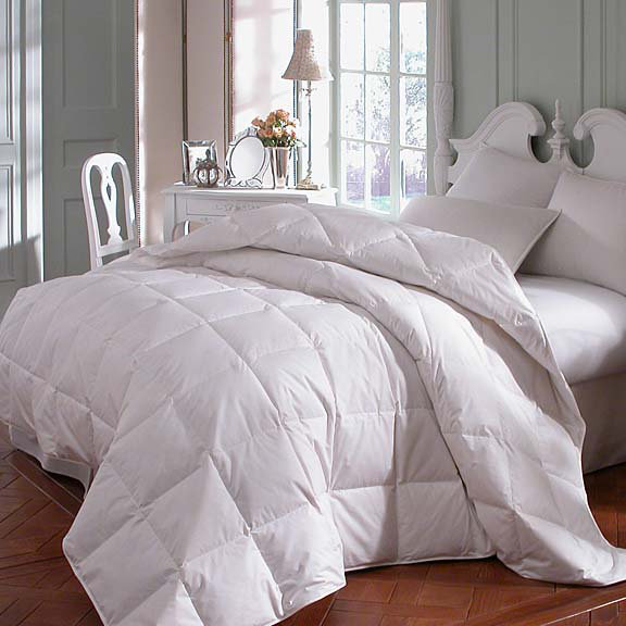 White Noise Summer Polyester Down Alternative Comforter & Reviews Wayfair